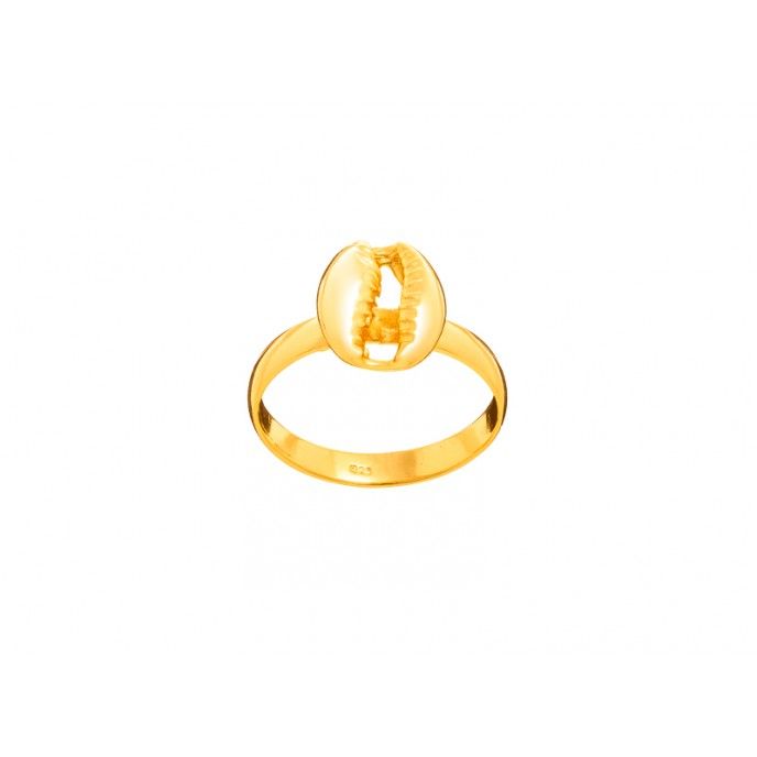 ANILLO CONCHA