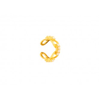 OREJA BRILLANTE