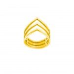 Aco Dourado