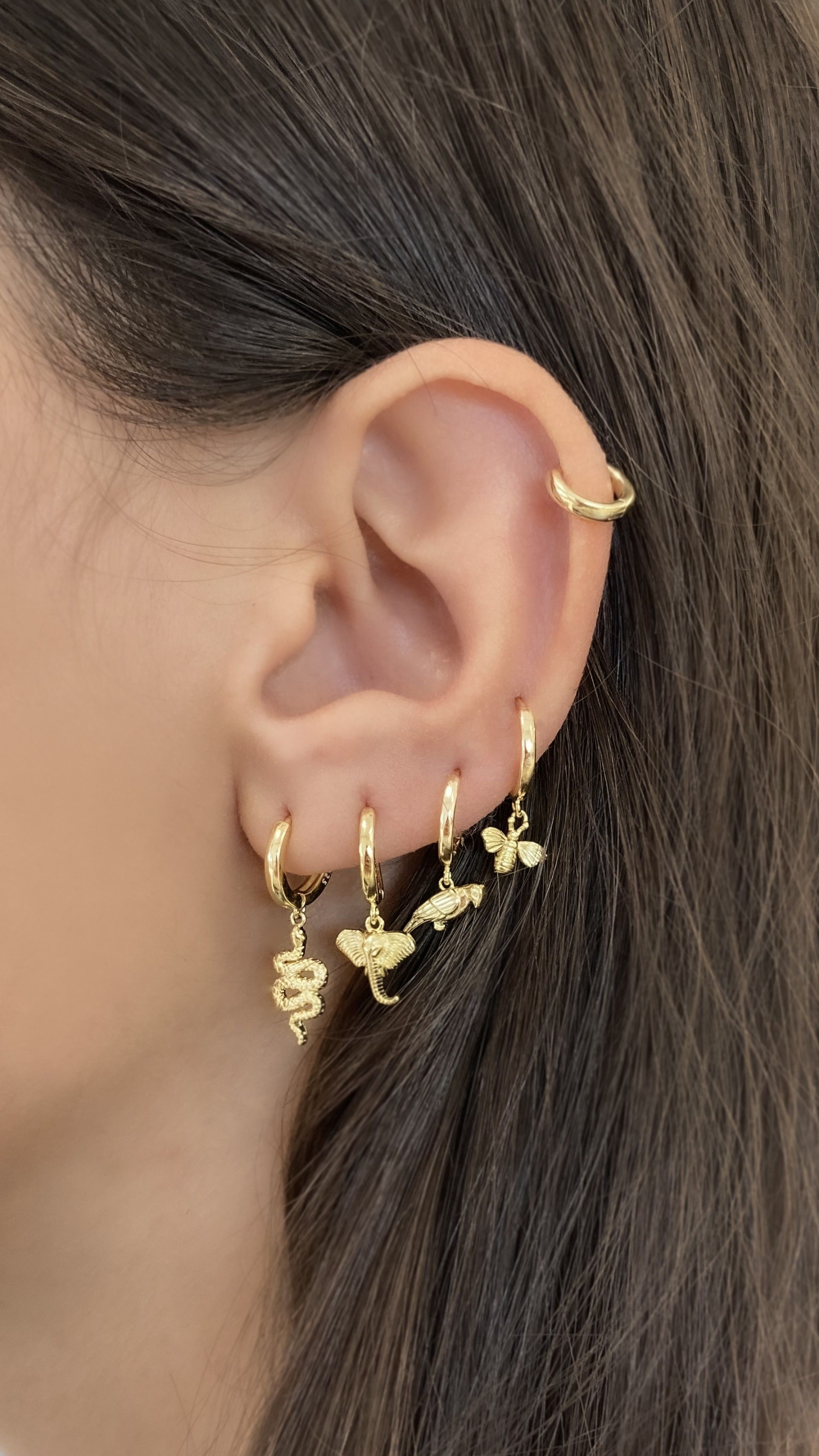 ARGOLA PÁSSARO UNIDADE