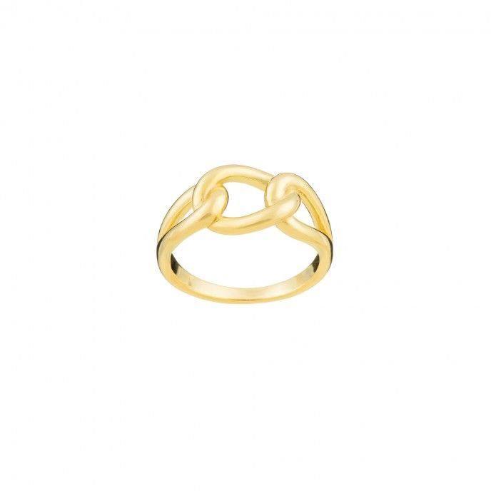 CHAIN RING