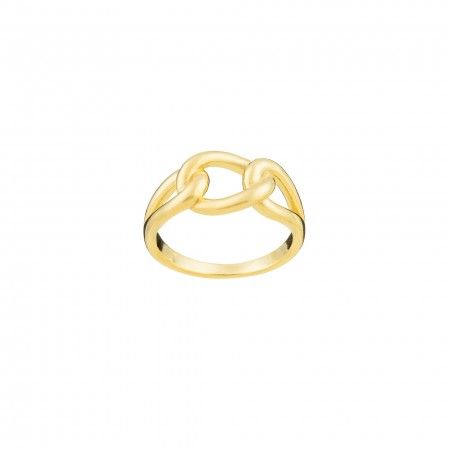 CHAIN RING