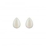 PROLA CULTURA BRANCA