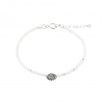 PULSEIRA CONCHA
