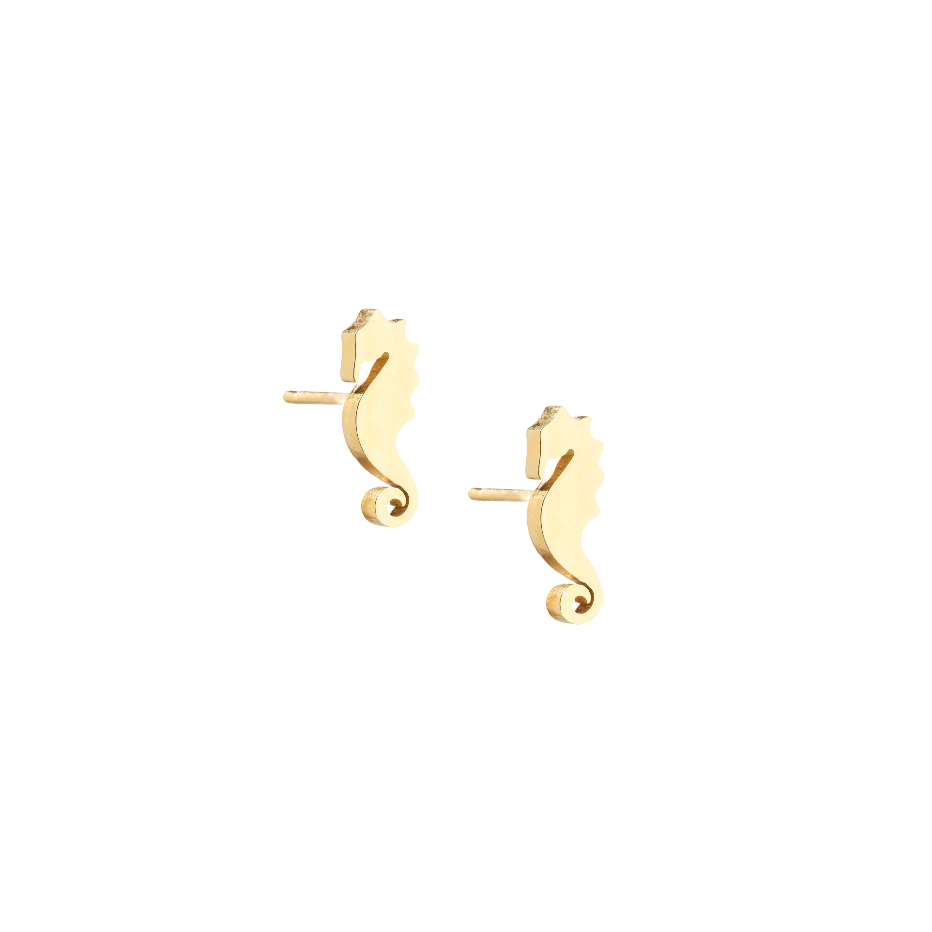 BRINCOS AÇO CAVALO-MARINHO