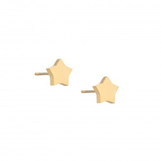 STAR STEEL EARRINGS