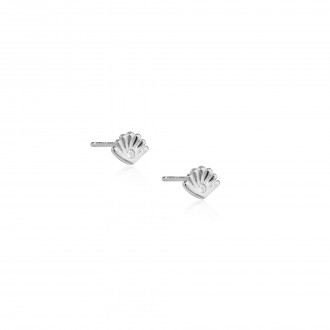 SHELL SILVER EARRINGS