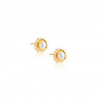 SHELL SILVER EARRINGS
