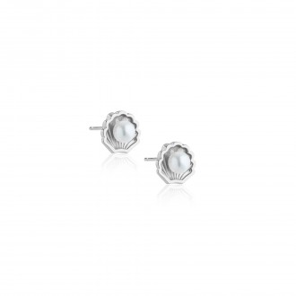 PENDIENTES CONCHA