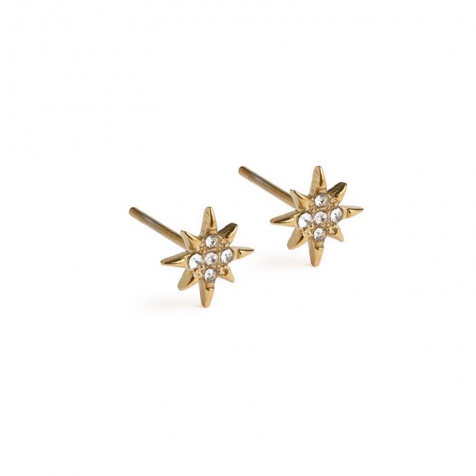 STEEL STAR EARRINGS 