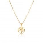 Aço Dourado Aço Dourado