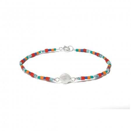 PULSEIRA CONCHA PULSEIRA CONCHA
