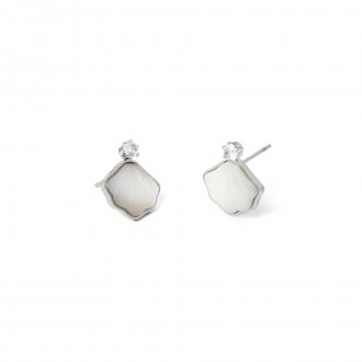 SHELL STEEL EARRINGS