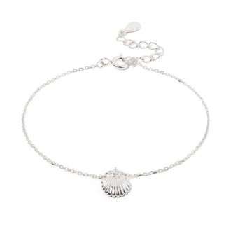 PULSEIRA CONCHA PULSEIRA CONCHA