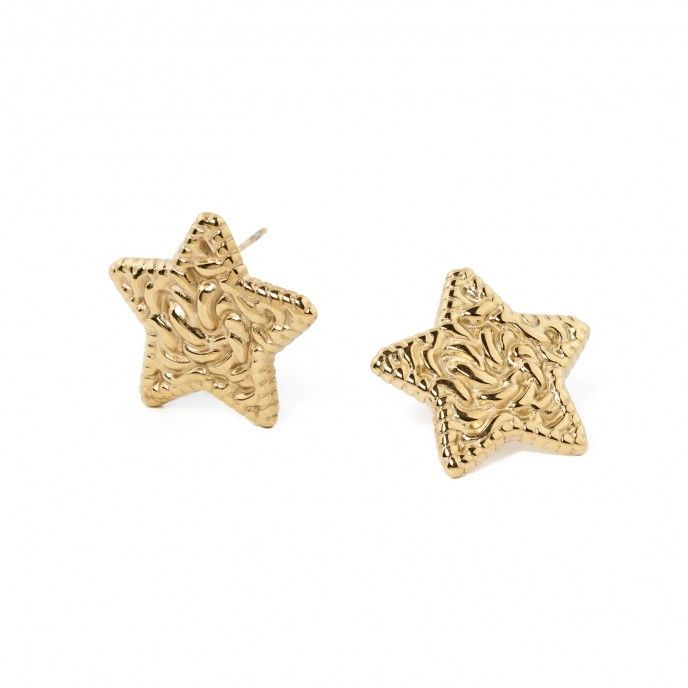 STEEL STAR EARRINGS