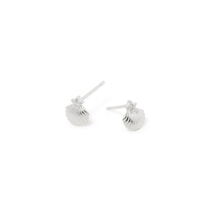 SHELL SILVER EARRINGS