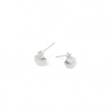 SHELL SILVER EARRINGS