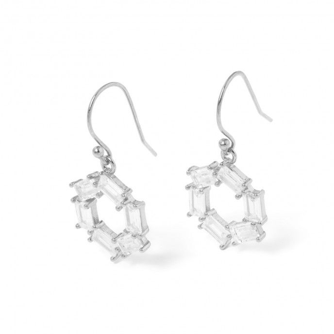 SHINY SILVER EARRINGS