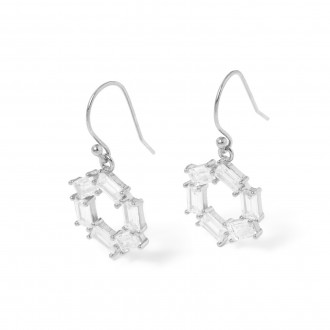 SHINY SILVER EARRINGS