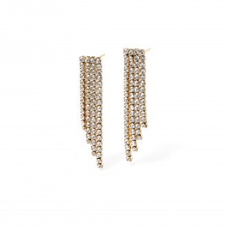 SHINY STEEL EARRINGS