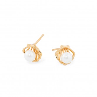 SILVER SHELL EARRINGS