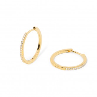 SHINY HOOPS