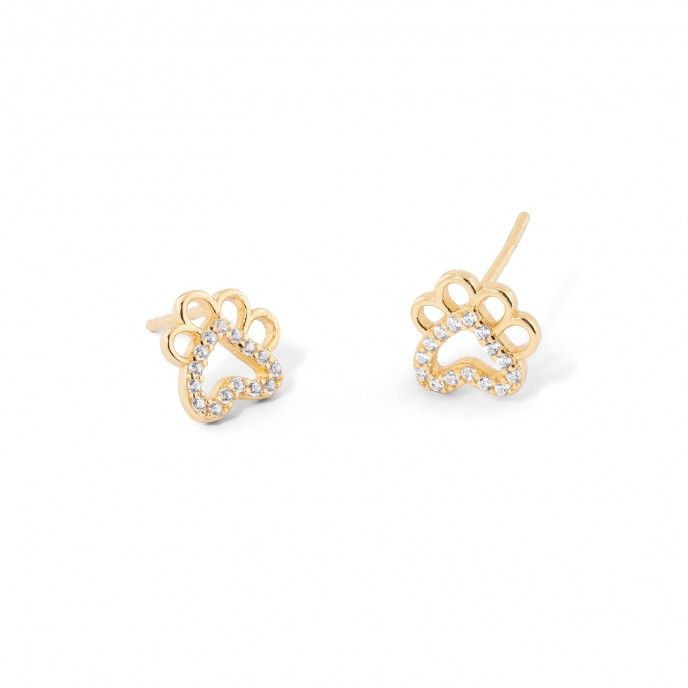PENDIENTES PATA