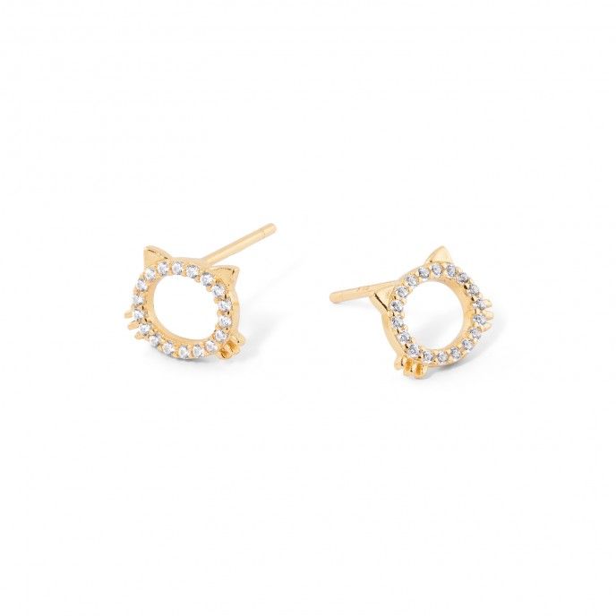 PENDIENTES GATO