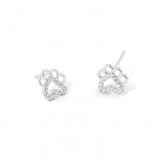 PENDIENTES PATA