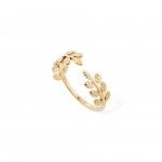 Ao Dourado