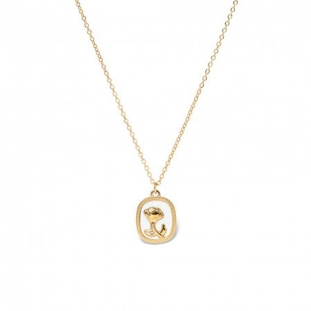 COLLAR ROSA DE ACERO