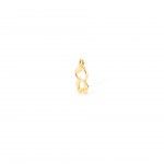 Gold Plated