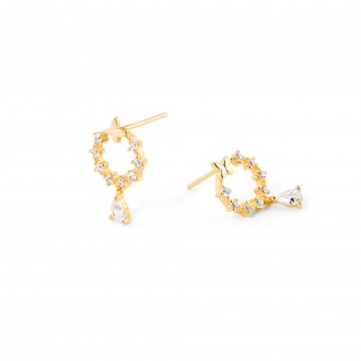 SHINY EARRINGS