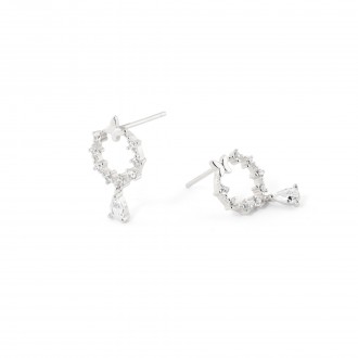 SHINY EARRINGS