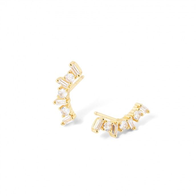 SHINY EARRINGS