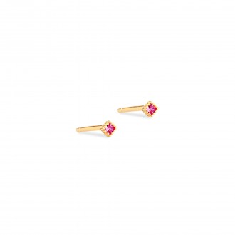 BRINCOS ZIRC�O