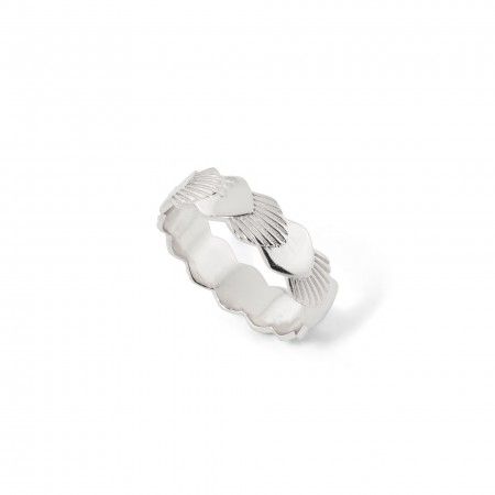 SHELLS RING