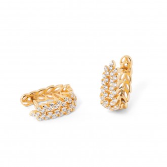 AROS HOJAS