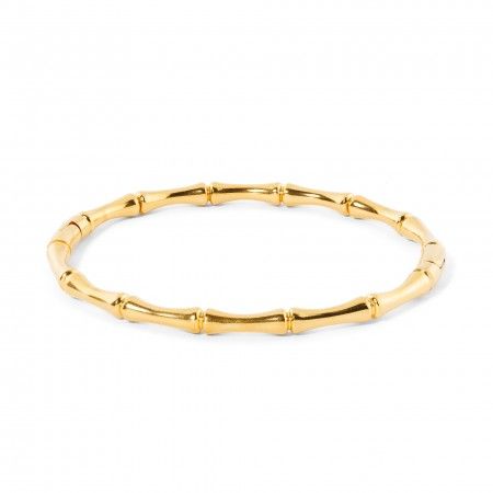 PULSEIRA AO RIGDA