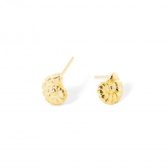 SILVER SHELL EARRINGS