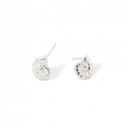 PENDIENTES CONCHA