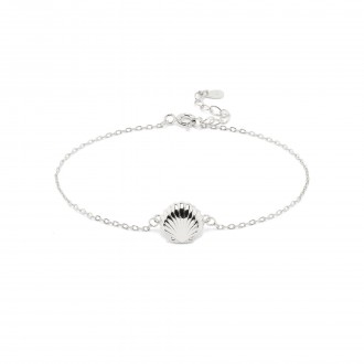PULSEIRA CONCHA PULSEIRA CONCHA