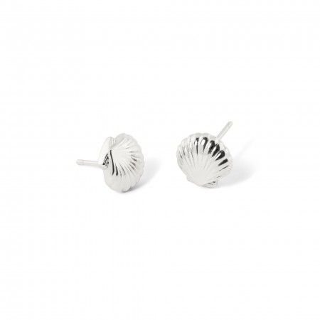 SILVER SHELL EARRINGS SILVER SHELL EARRINGS