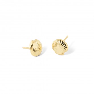 SILVER SHELL EARRINGS