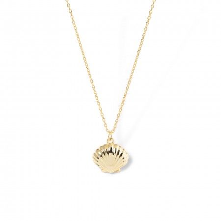 COLLAR CONCHA
