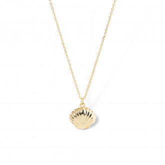 COLLAR CONCHA