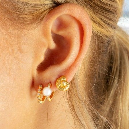 PENDIENTES CONCHA