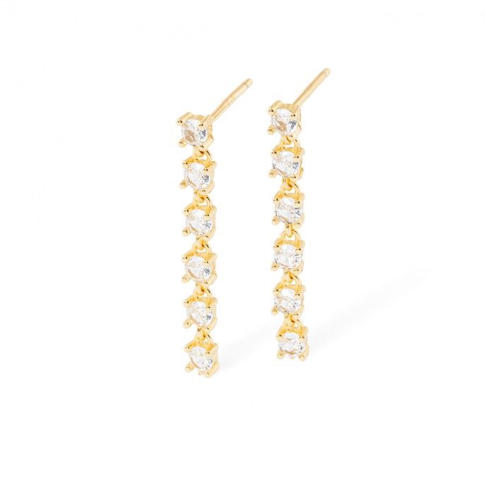 SHINY SILVER EARRINGS