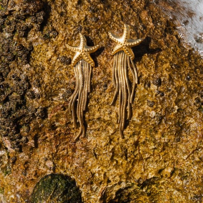 STEEL STARFISH EARRINGS