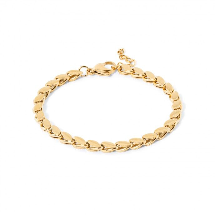 PULSEIRA AO FOLHAS
